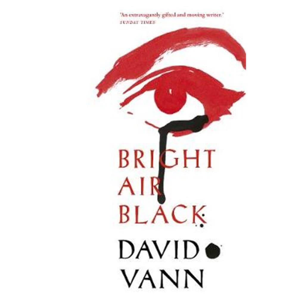 Bright Air Black (Paperback) - David Vann